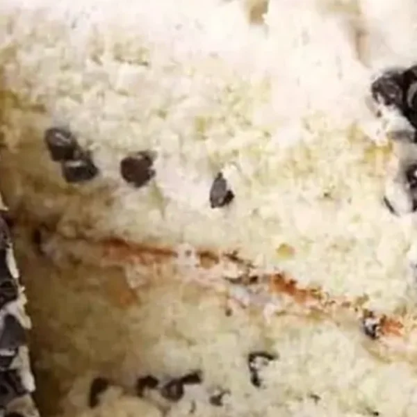 Fresh X-Large Italian Cannoli Cake Slice with Whip Cream