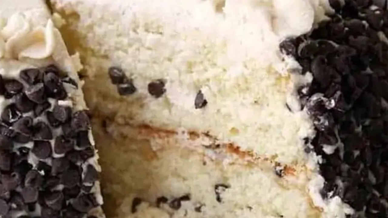 Fresh X-Large Italian Cannoli Cake Slice with Whip Cream Fresh X-Large Italian Cannoli Cake Slice with Whip Cream - Image 1