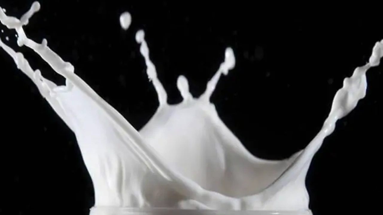 Organic Milk Organic Milk - Image 1